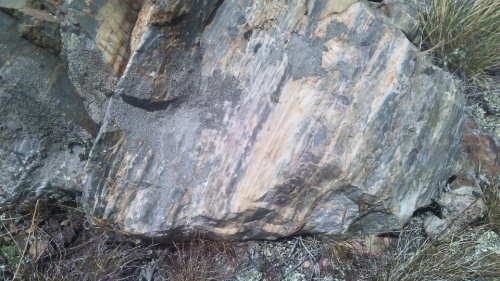 Гигантские зелёные валуны для ландшафтного дизайна весом более 5 тонн купить в Кемерово