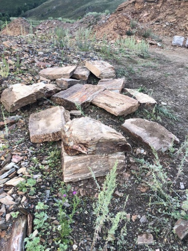 Пошаговая дорожка из плит златолит кора дерева купить в Кемерово